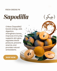 SAPODILLA (CHIKU) چیکو