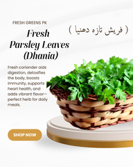 Coriander Leaves
