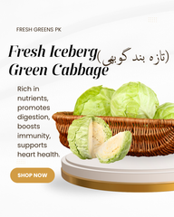 Iceberg Green Cabbage