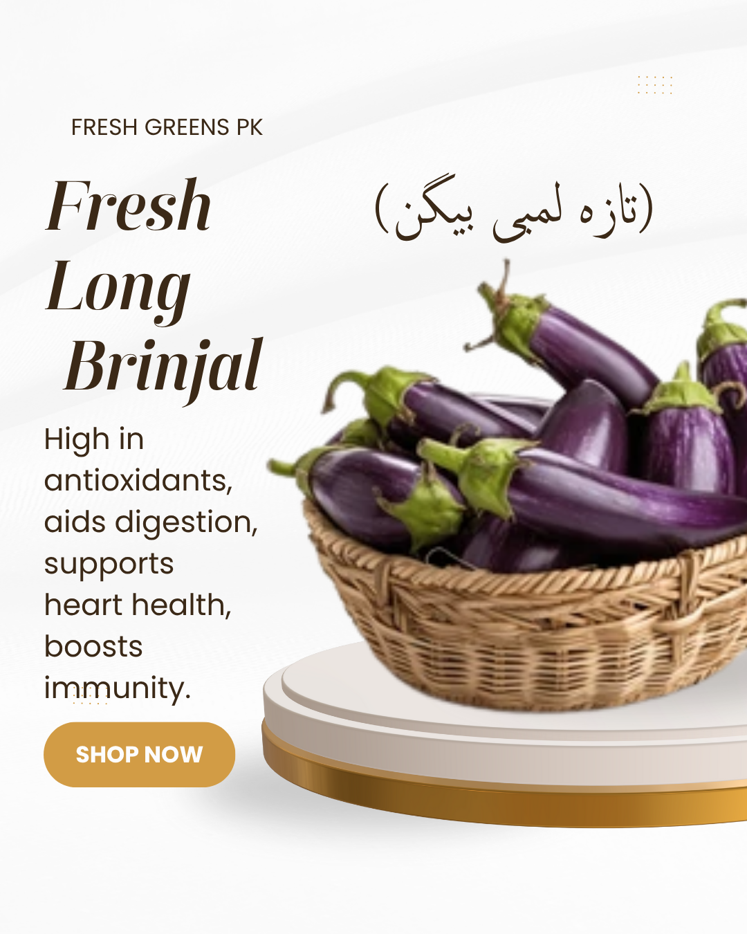Fresh Long Brinjal