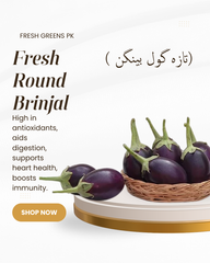 Round Brinjal