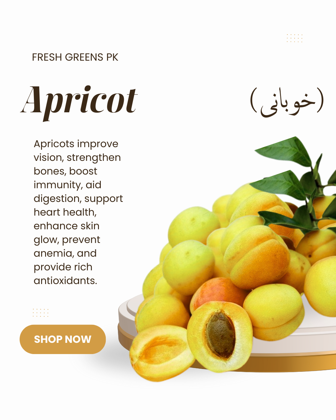 APRICOT  خوبانی