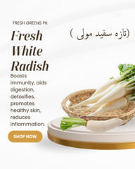 Fresh White Radish