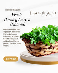 Fresh Parsley Leaves (Dhania)